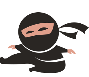 plan ninja de marketing online alicante
